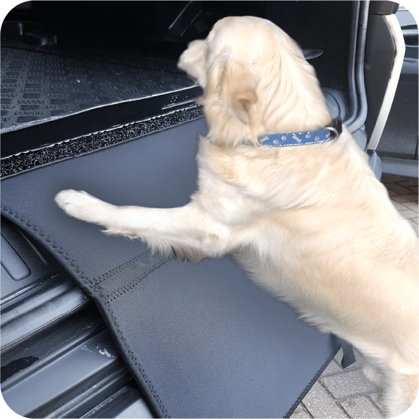 Car Mats
